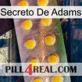 Adams Secret new11